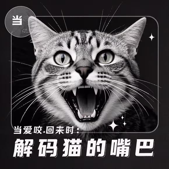 “When Love Bites Back: Decoding Your Cat’s Mouthy Moments”
